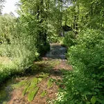 In Mit Terrasse Willingen (Upland)
