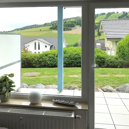 Apartman In With Terrace Willingen