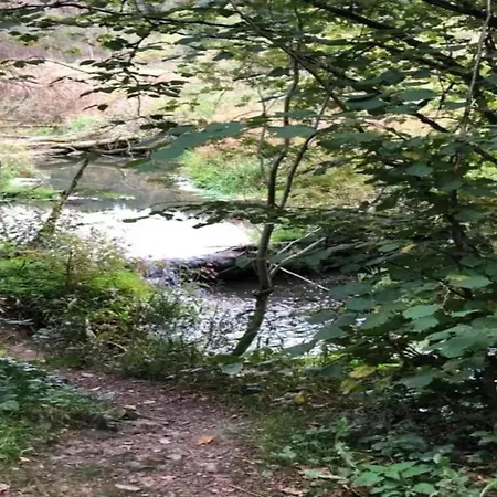 In Mit Terrasse Willingen (Upland)