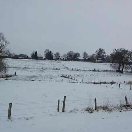 Lägenhet In Mit Terrasse