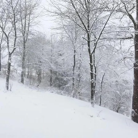 Apartment In Mit Terrasse *