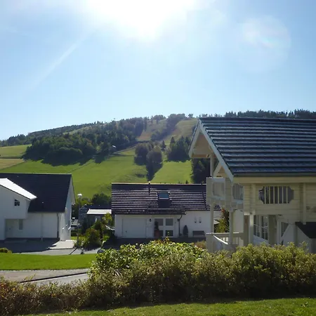 In Mit Terrasse Apartment Willingen (Upland)