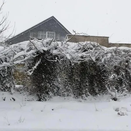 In Mit Terrasse Willingen (Upland)