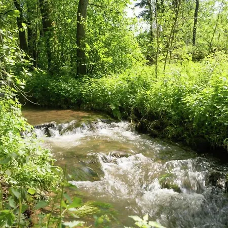 Lägenhet In Mit Terrasse