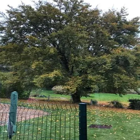 In Mit Terrasse Apartment Willingen (Upland)