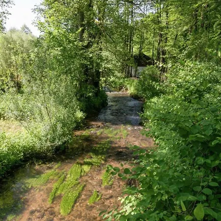 In Mit Terrasse Willingen (Upland)