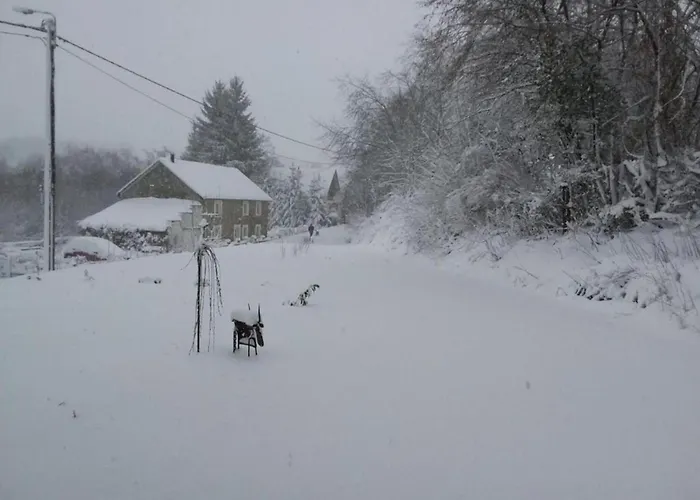 In Mit Terrasse * Willingen (Upland)