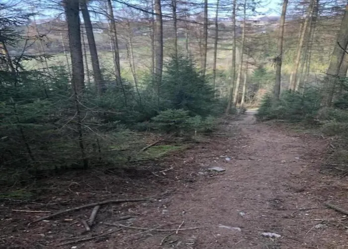 In Mit Terrasse Lägenhet