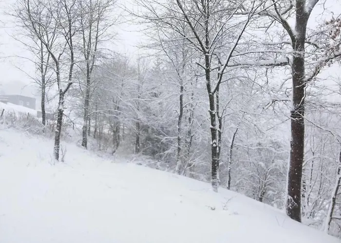 Lägenhet In Mit Terrasse *