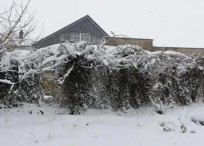 In Mit Terrasse Willingen (Upland)