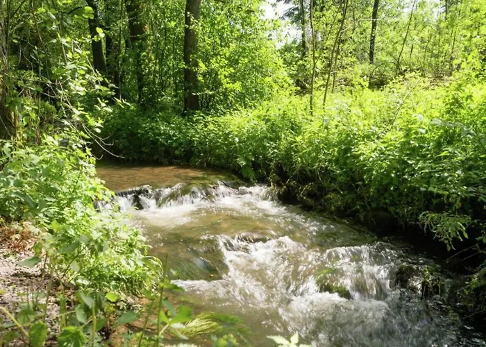 Lägenhet In Mit Terrasse