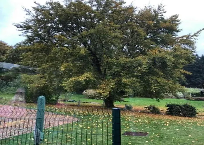 In Mit Terrasse Lägenhet Willingen (Upland)