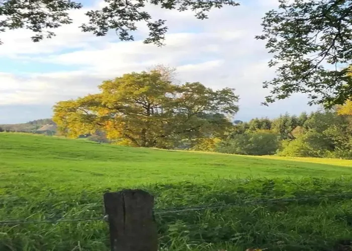 In Mit Terrasse Lägenhet *
