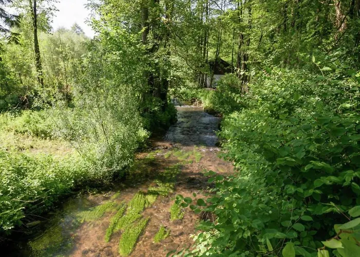 In Mit Terrasse Willingen (Upland)